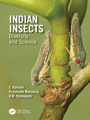 cover image of Indian Insects